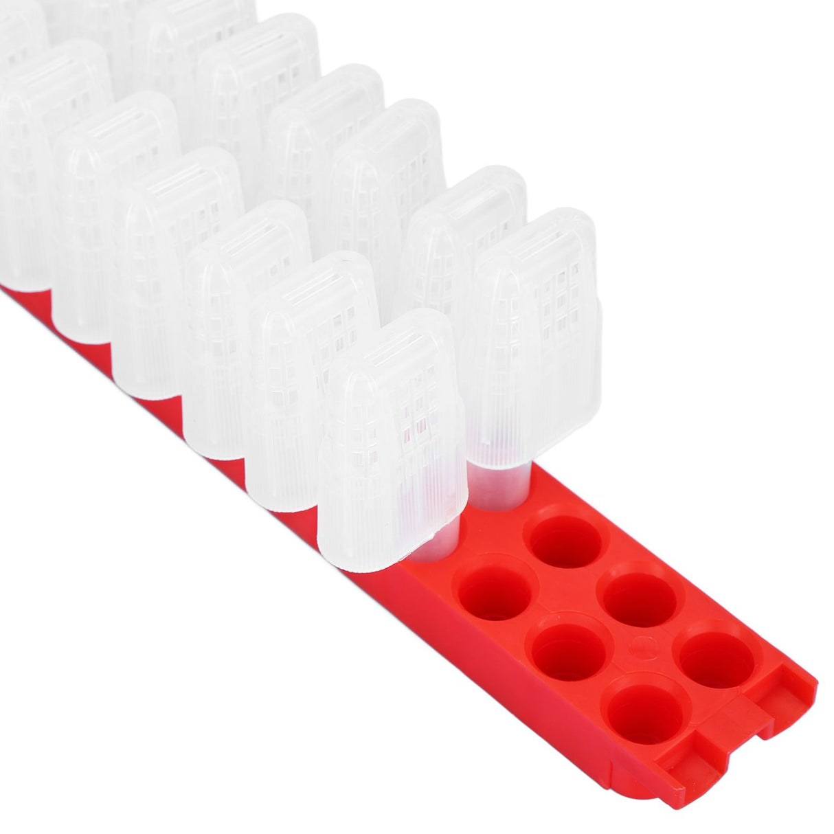 Bee Queen Cage Plastic Bee Rearing Cages Kit with Transport Strip Beekeeping Accessories