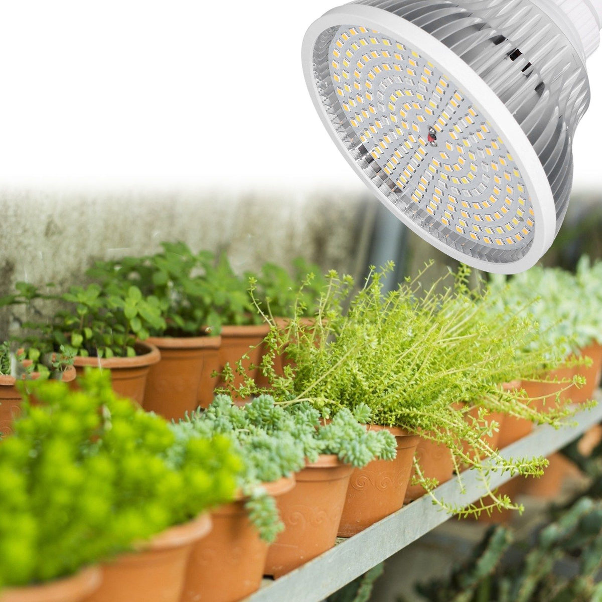 22W E27 200LED Plant Light Bulb Full Spectrum Plant Growth Lamp Bulb for Garden Greenhouse AC85V‑285V