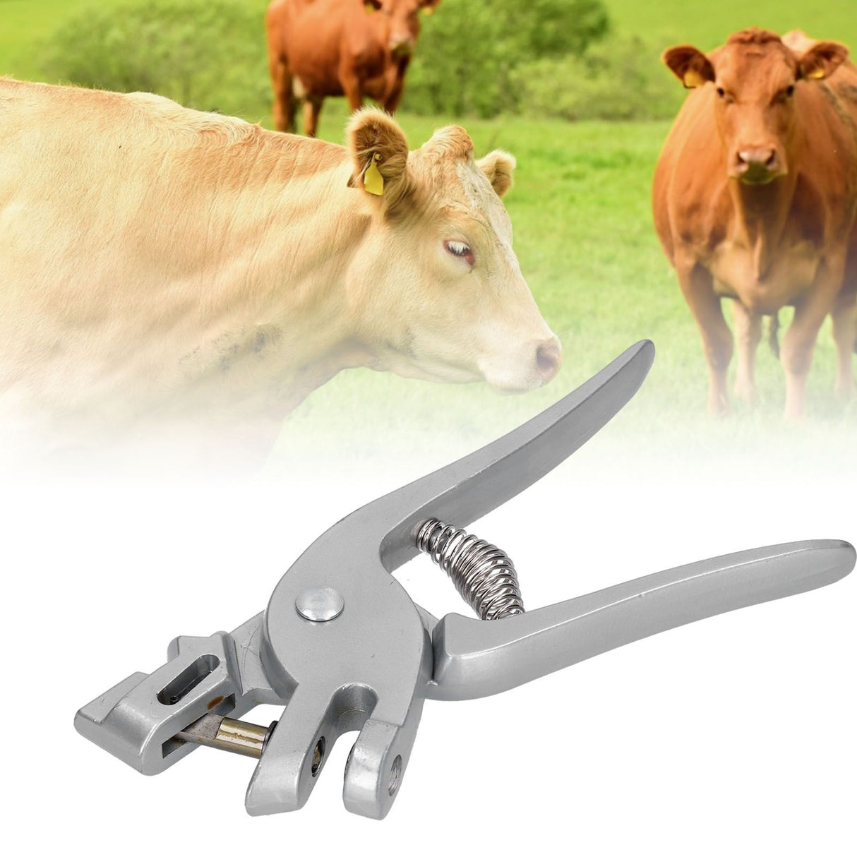 Ear Tag Applicator Stainless Steel Veterinary Ear Tag Plier for Livestock Pig Cattle Sheep Rabbit