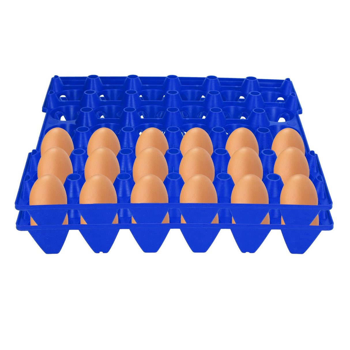 5PCS Plastic Egg Flats 30 Cell Egg Crates Holder Tray for Storage Transportation Home Farm SuppliesBlue