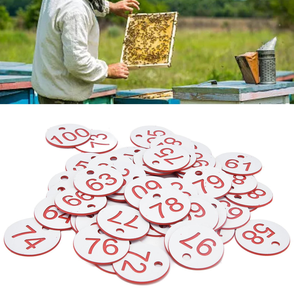 50Pcs Beehive Tag ABS Round Numbered Sign Labels with Hole Livestock Beekeeping SuppliesWhite 51-100