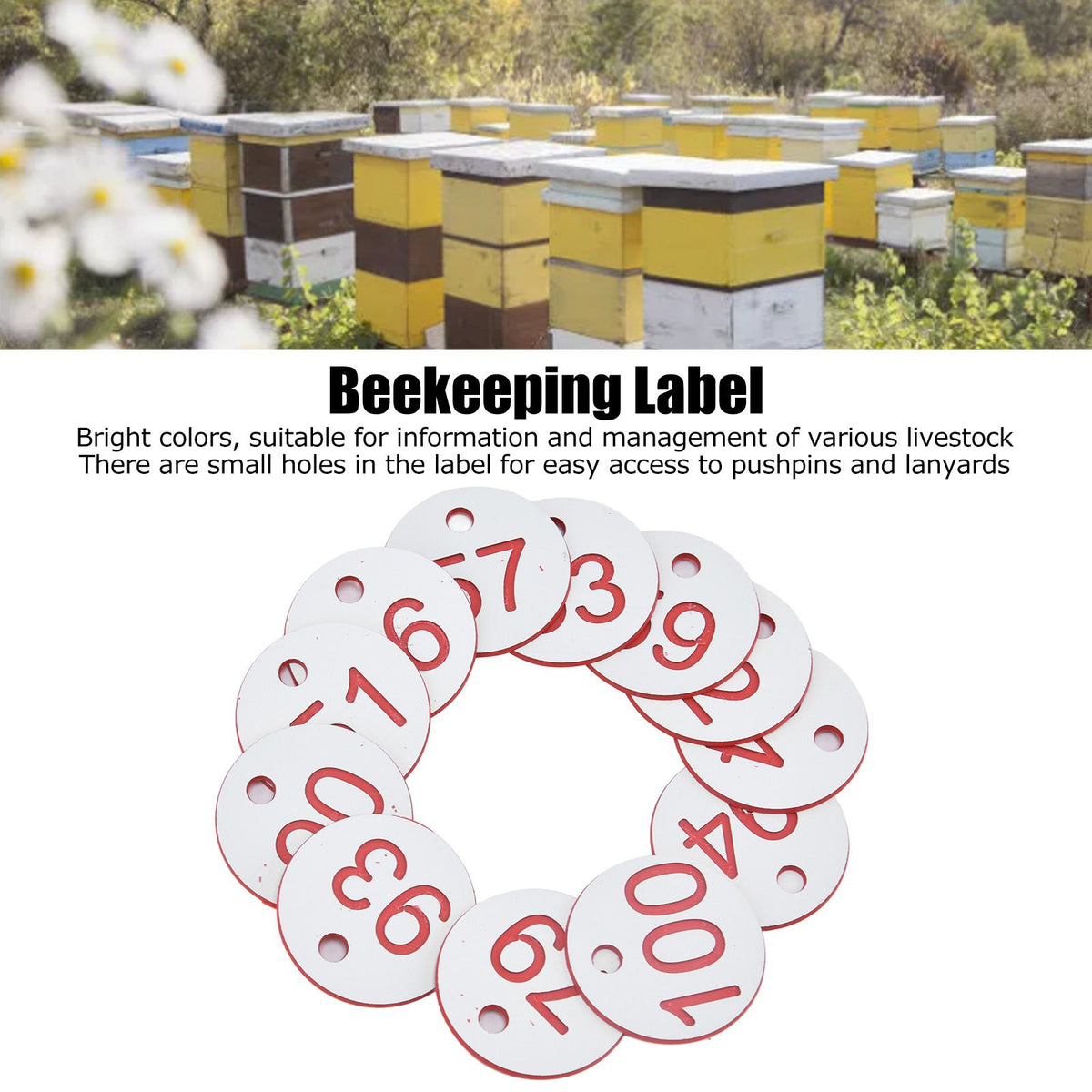 50Pcs Beehive Tag ABS Round Numbered Sign Labels with Hole Livestock Beekeeping SuppliesWhite 51-100
