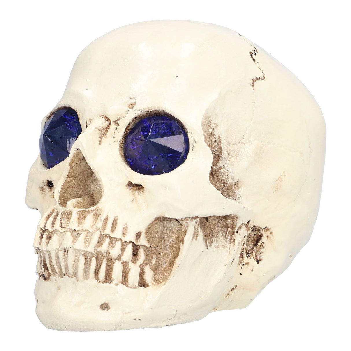 Skull Ornaments Vivid Lightweight Easily Clean Add Horror Ambience Halloween Props for Party Haunted House Decoration