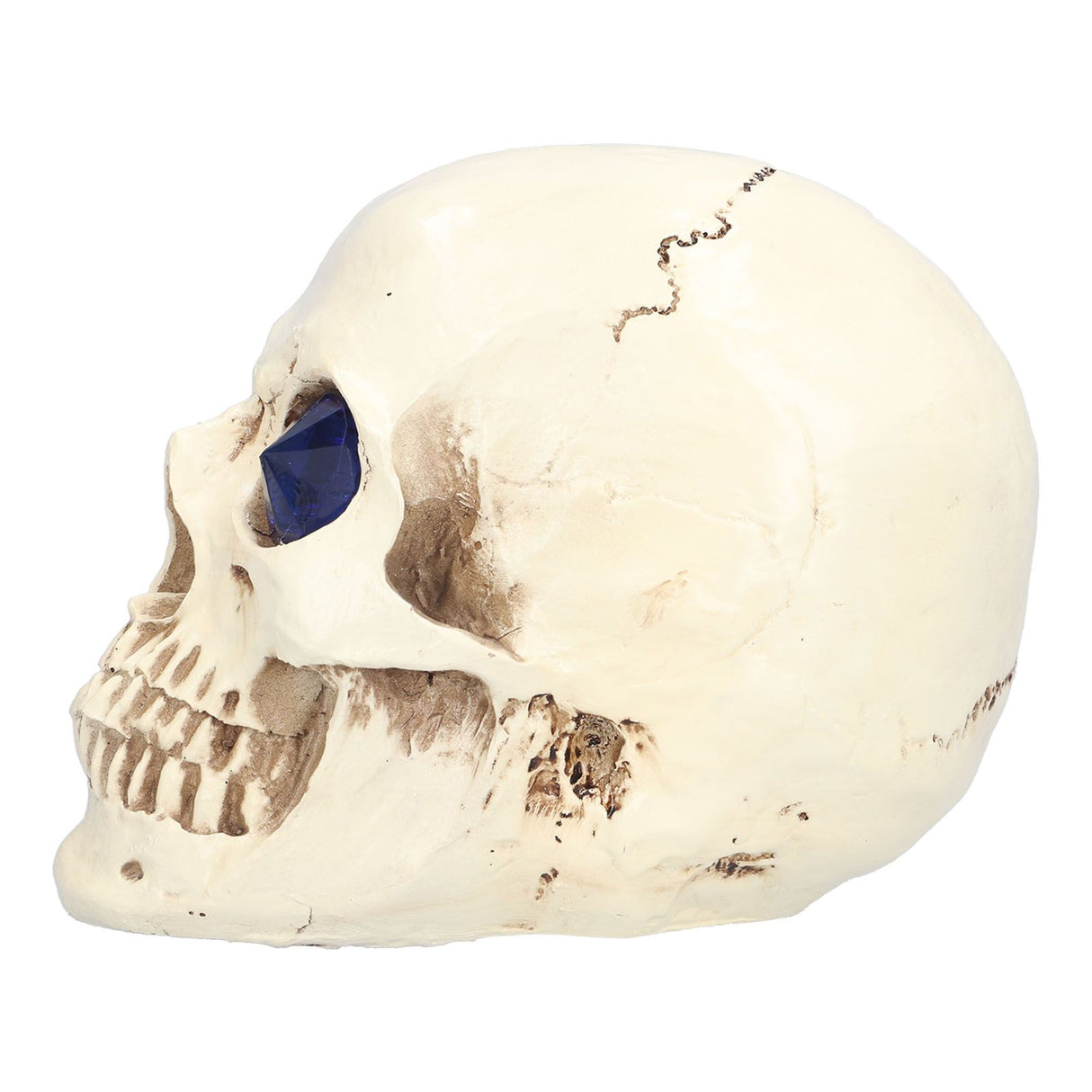 Skull Ornaments Vivid Lightweight Easily Clean Add Horror Ambience Halloween Props for Party Haunted House Decoration