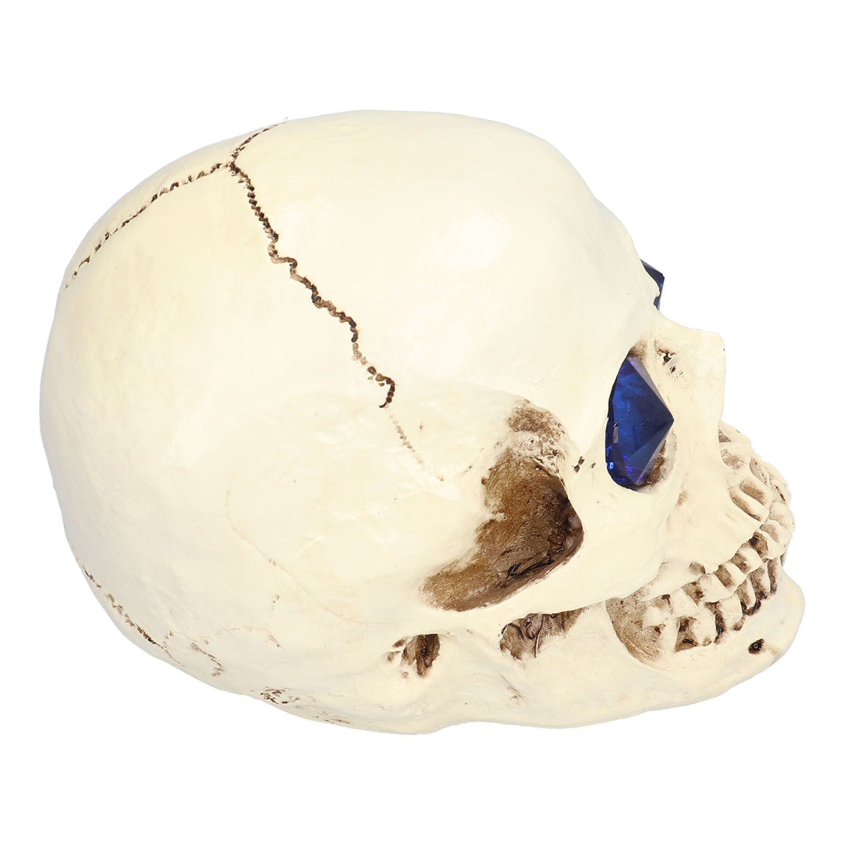 Skull Ornaments Vivid Lightweight Easily Clean Add Horror Ambience Halloween Props for Party Haunted House Decoration