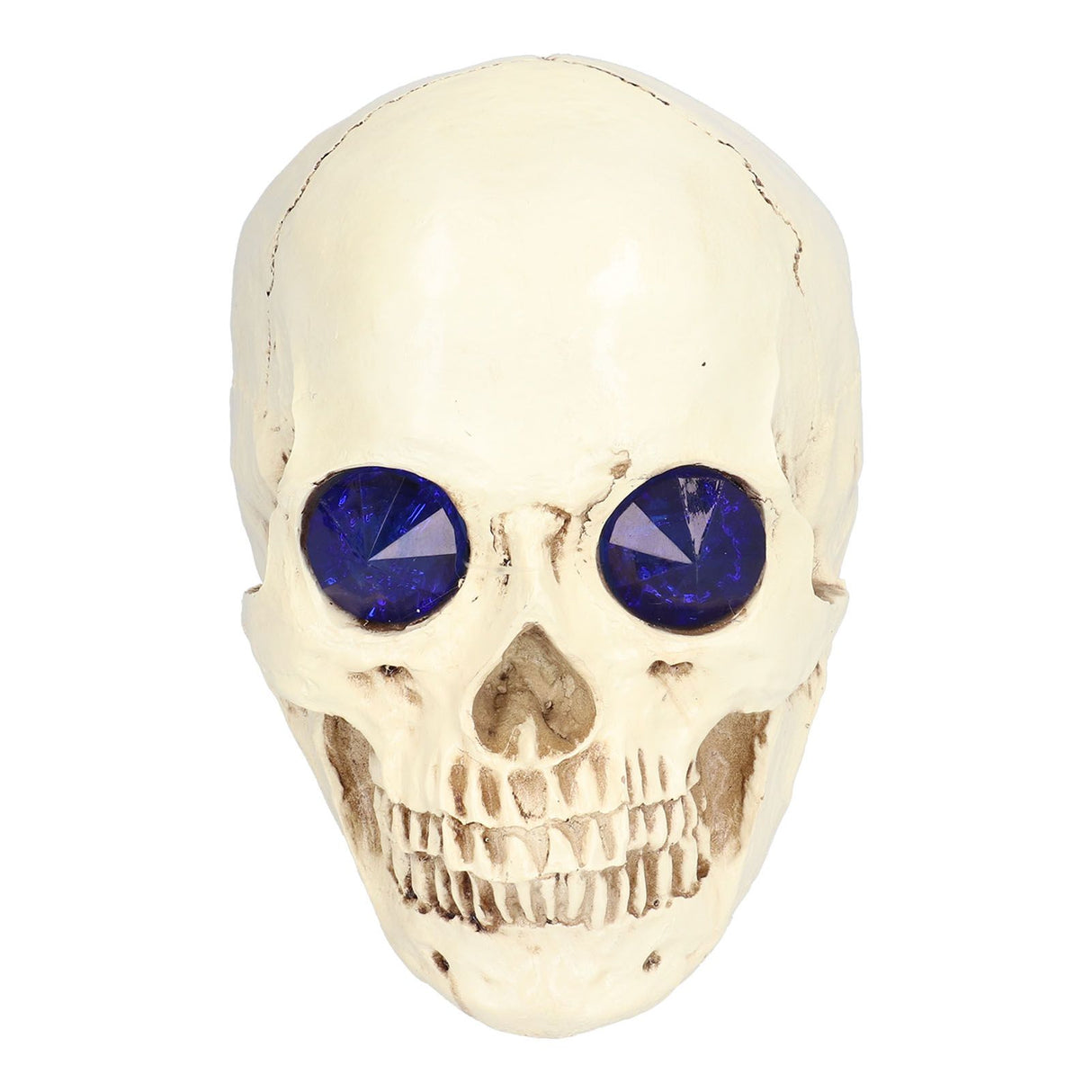 Skull Ornaments Vivid Lightweight Easily Clean Add Horror Ambience Halloween Props for Party Haunted House Decoration