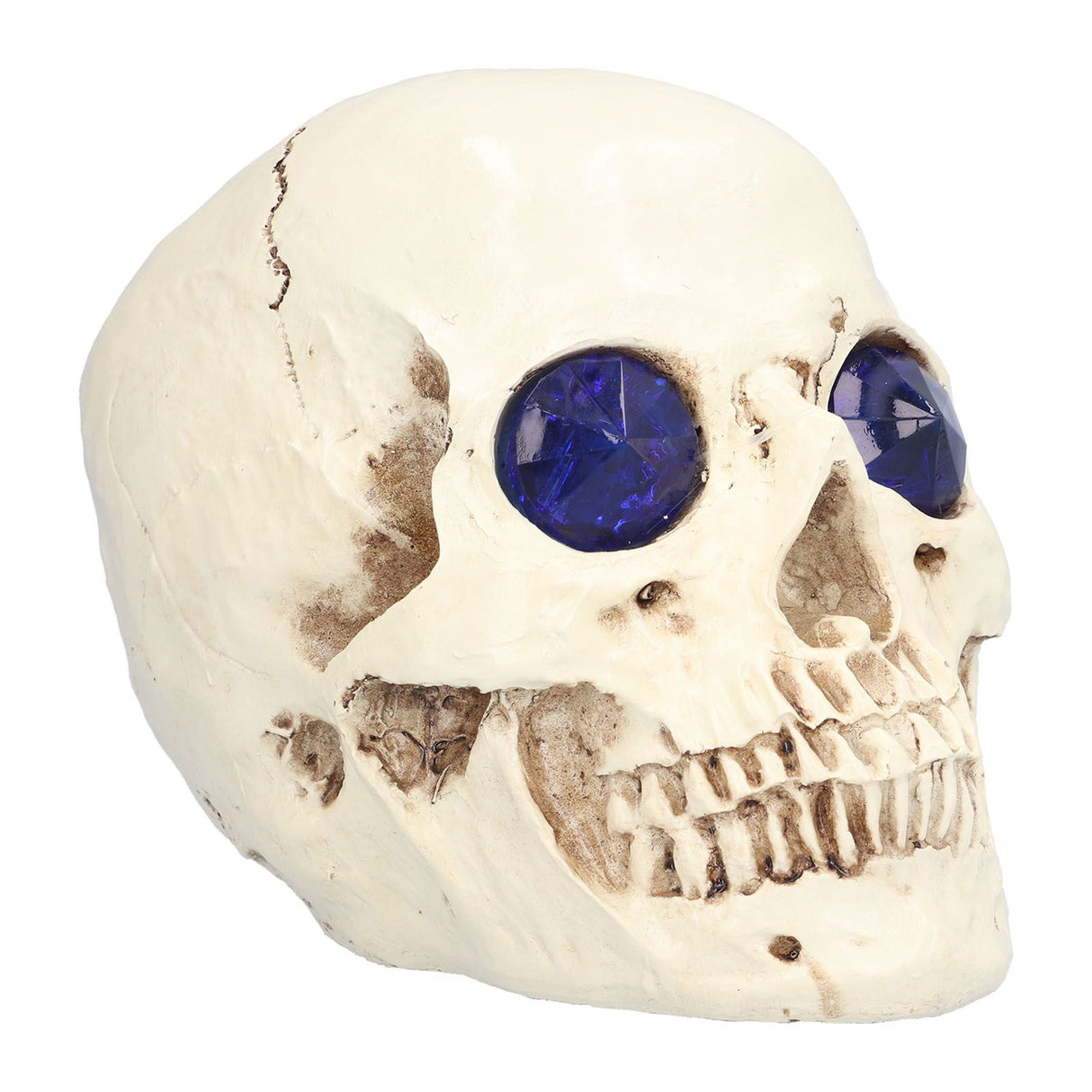 Skull Ornaments Vivid Lightweight Easily Clean Add Horror Ambience Halloween Props for Party Haunted House Decoration