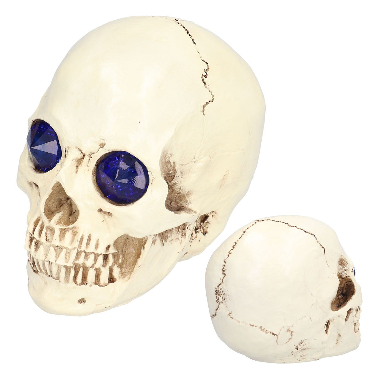 Skull Ornaments Vivid Lightweight Easily Clean Add Horror Ambience Halloween Props for Party Haunted House Decoration