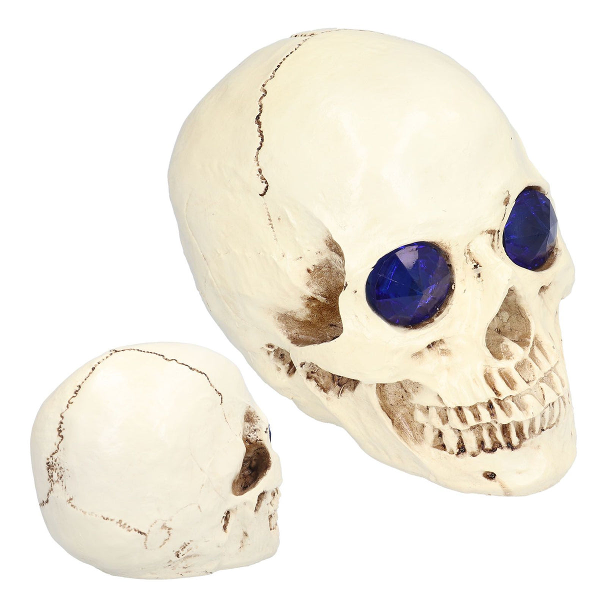 Skull Ornaments Vivid Lightweight Easily Clean Add Horror Ambience Halloween Props for Party Haunted House Decoration