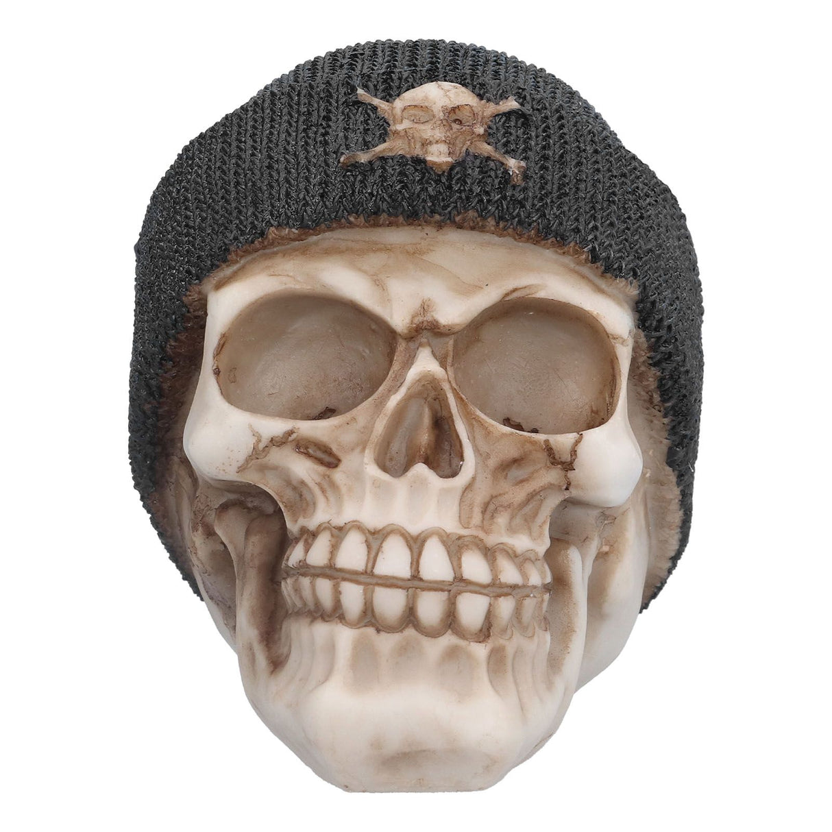 Resin Skull Durable Lightweight Halloween Decoration Resin Skull Ornament for Holiday Party