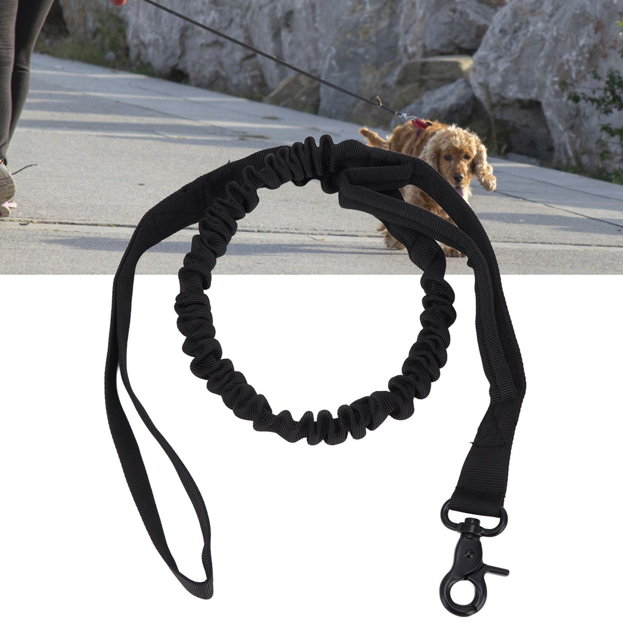 Dog Leash Durable Wear Resistant Easy Control Elasticity Provides Ductility Military Pet Leash Pet SupplyBlack