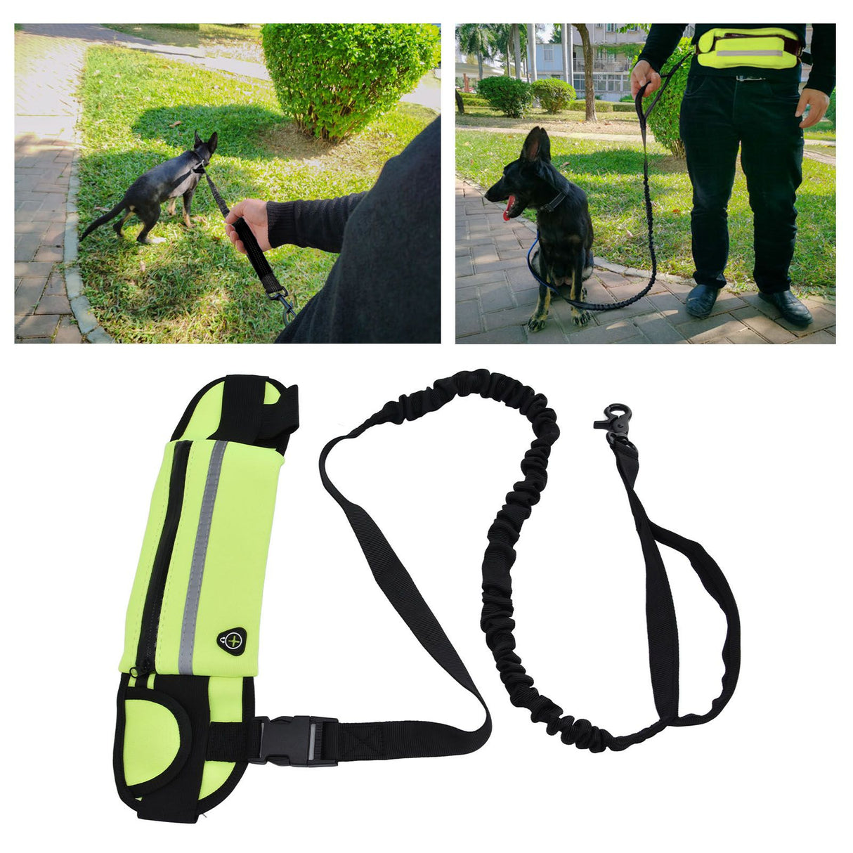 Sports Belt Bag Leash Set Reflective Elastic Explosion Proof Dog Running Traction Rope for Walking RunningGrass Green