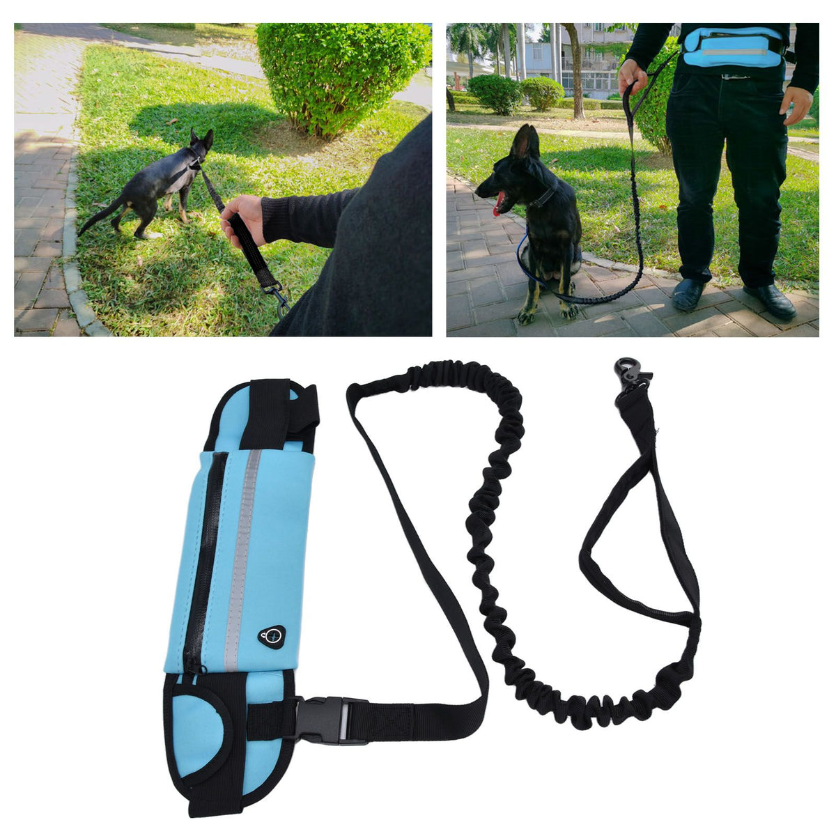 Sports Belt Bag Leash Set Reflective Elastic Explosion Proof Dog Running Traction Rope for Walking RunningSky Blue
