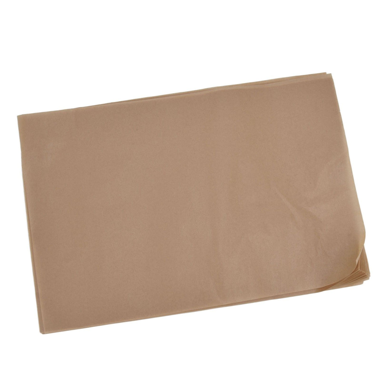 Baking Silicone Oil Paper Barbecue NonStick Baking Paper for Cooking Frying Grilling Rack(Natural Color 20x30cm )