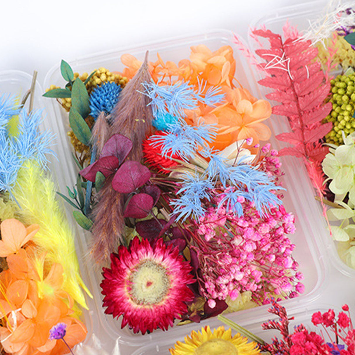 Dried Flower DIY Accessories Set
