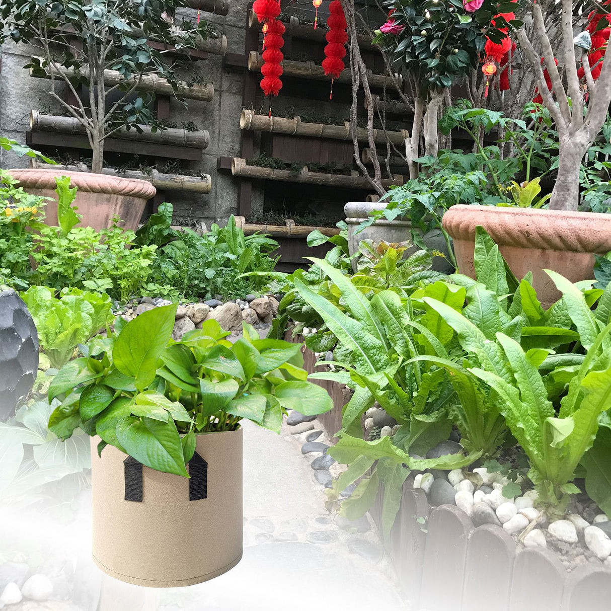 5pcs Planter Bag Breathable Reusable Thickened Plant Grow Pot With Dual Handles for Flowers Vegetables 10 Gallons