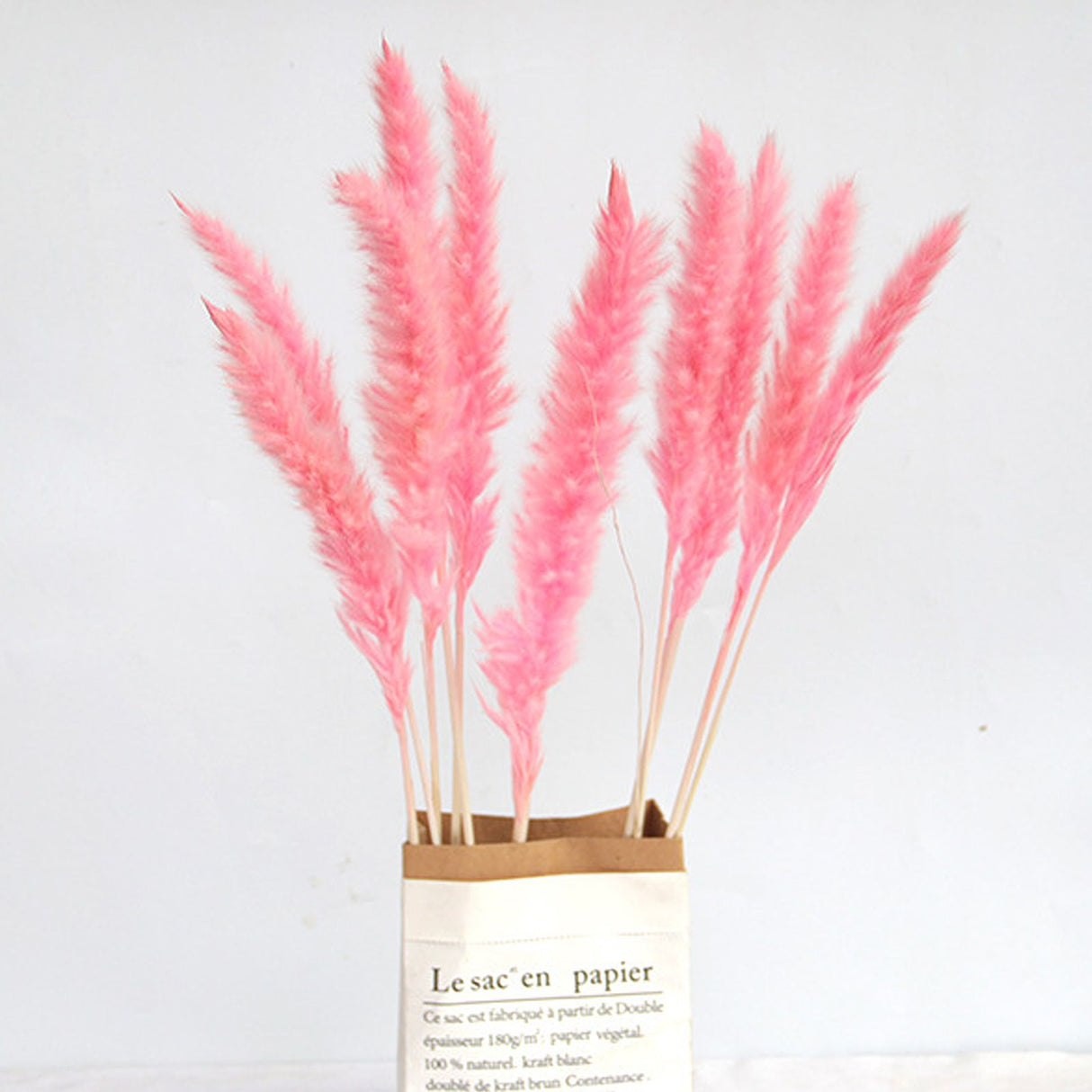 Dried Pampas Grass Natural Reed Dried Flowers Dried Pampas Grass Flowers Bouquet for Boho Home Decor