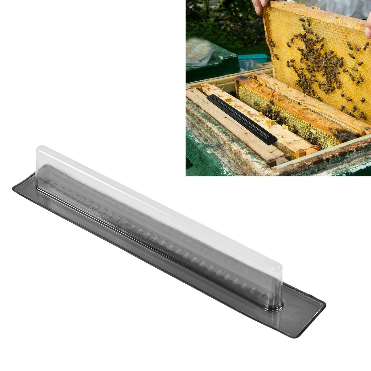 20PCS Small Beehive Trap Plastic Beehive Case Durable Beekeeping Tools for Apiculture Garden