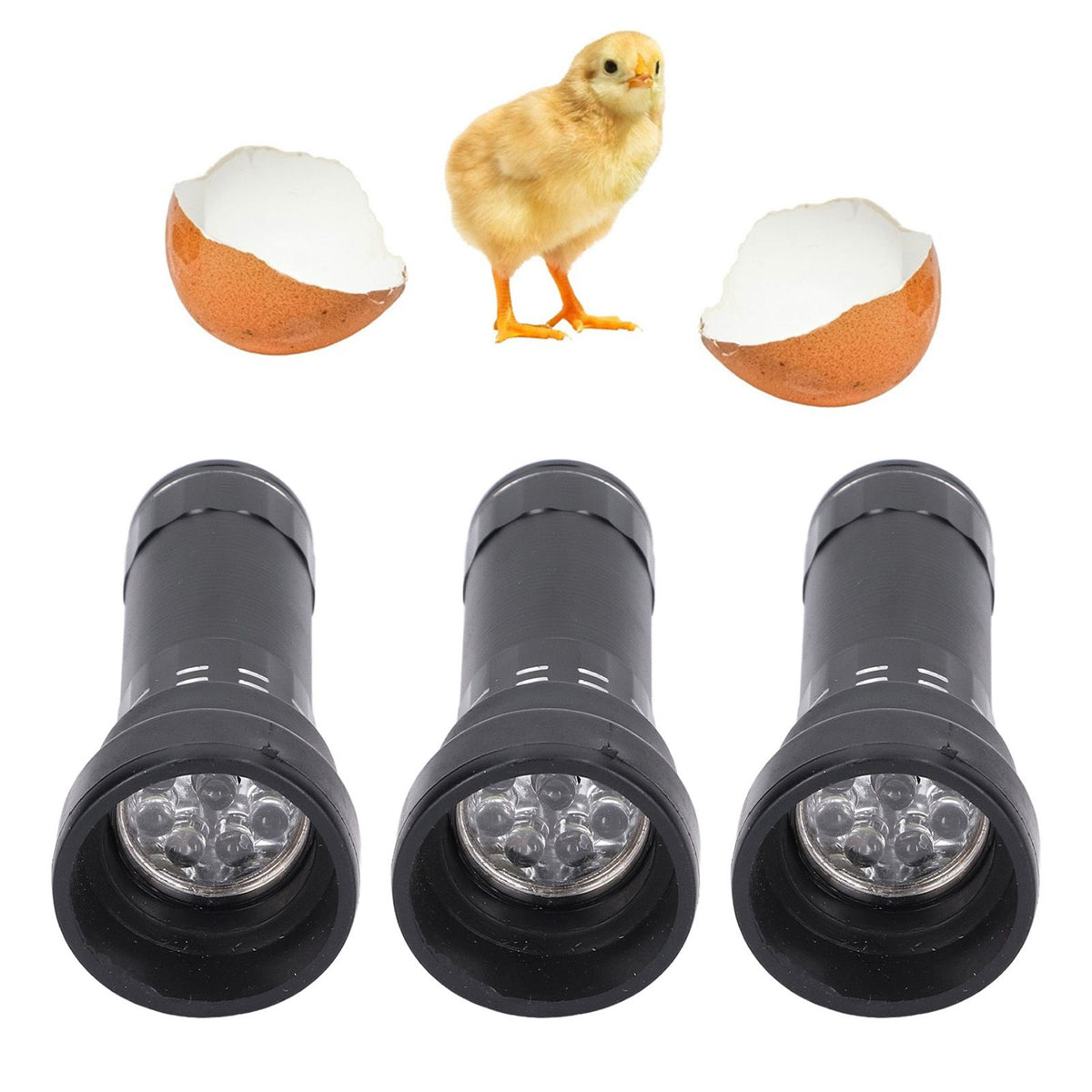 Egg Candler LED Cold Light Fine Workmanship Simple Operation Aluminum Alloy Egg Light