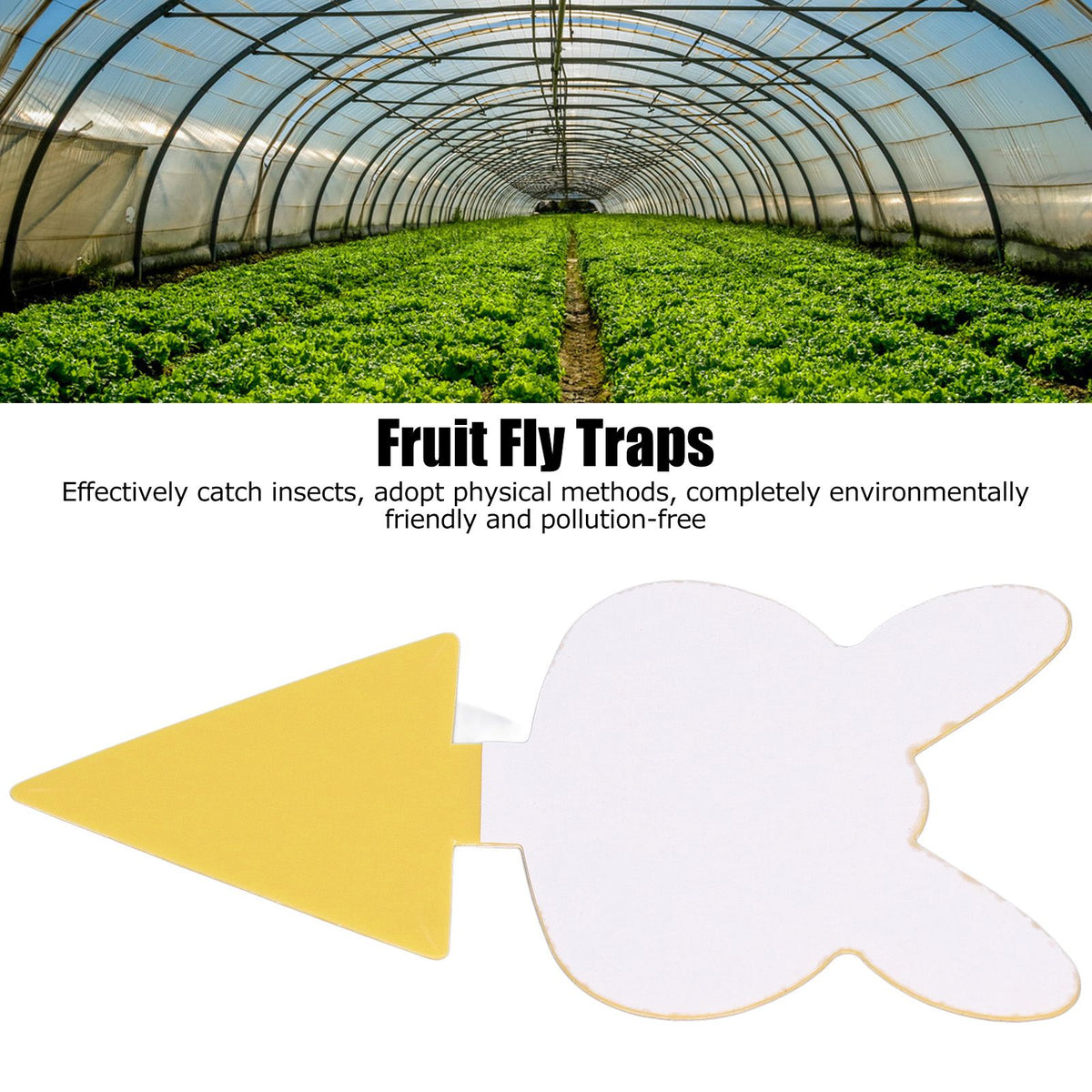 50Pcs Fungus Gnat Killer Effectively Catch Insects Strong Stickiness Easy to Use Insect Catching Board for GreenhouseRabbits Head