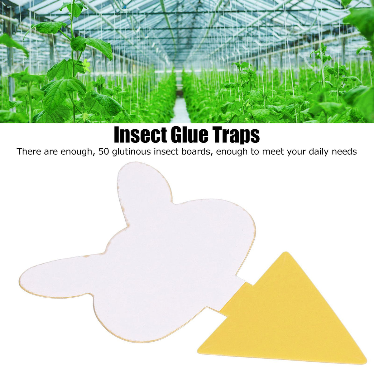50Pcs Fungus Gnat Killer Effectively Catch Insects Strong Stickiness Easy to Use Insect Catching Board for GreenhouseRabbits Head