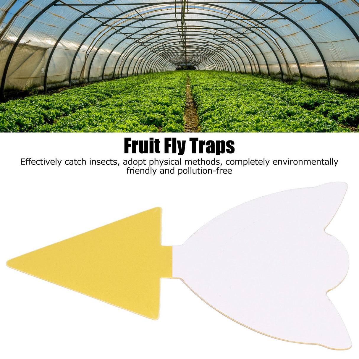 50Pcs Fungus Gnat Killer Effectively Catch Insects Strong Stickiness Easy to Use Insect Catching Board for GreenhouseTulips