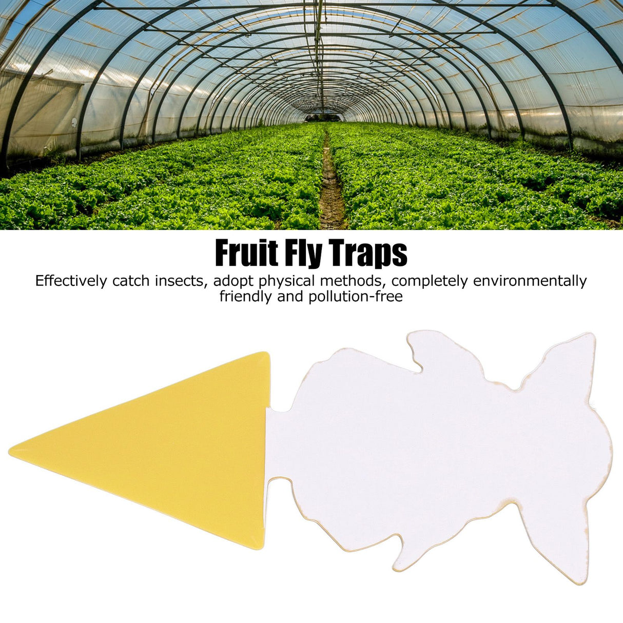 50Pcs Fungus Gnat Killer Effectively Catch Insects Strong Stickiness Easy to Use Insect Catching Board for GreenhouseYoda