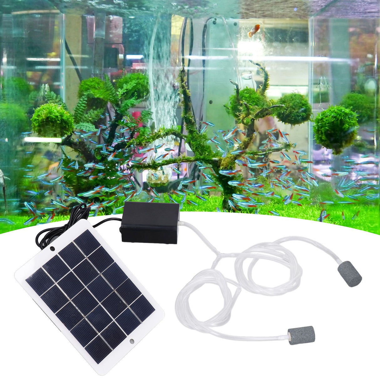 Solar Oxygen Pump Multi Purpose Convenient Installation Easy to Carry Portable Fishing Aerator Pump for Aquariums
