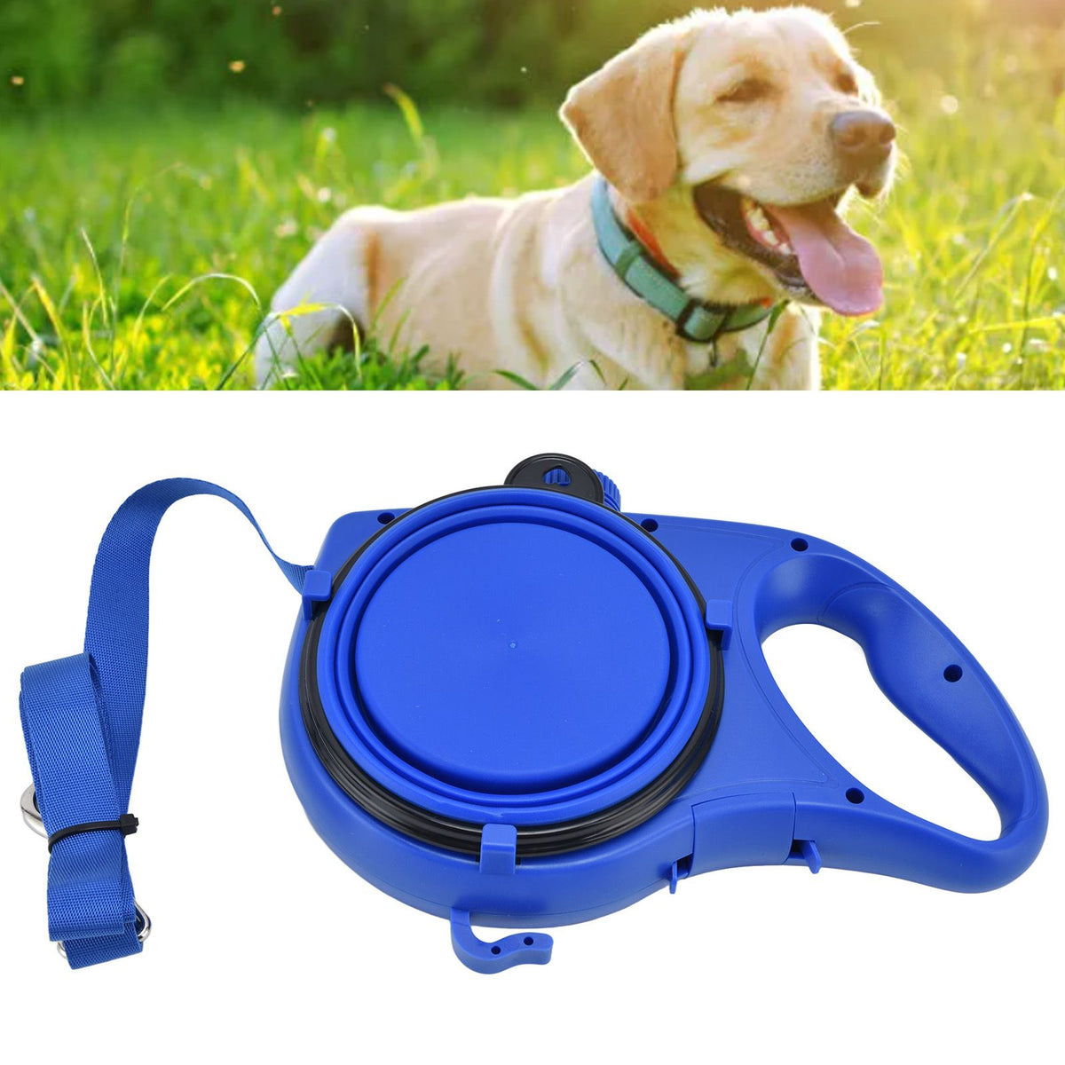 Pet Leash Multifunction Hollow Inside Multicolor Optional Lightweight Portable Small Dog LeashBlue