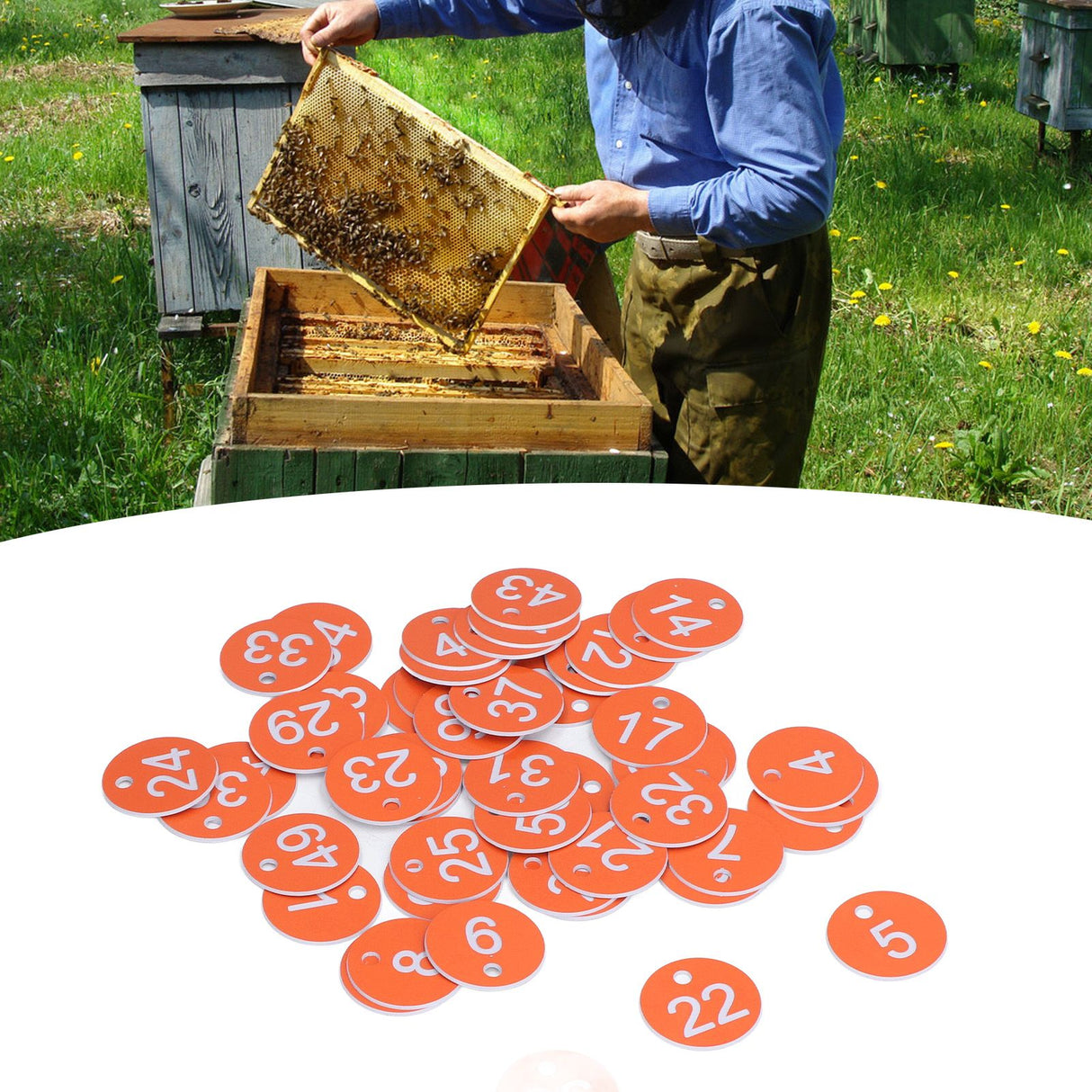 50Pcs Numbered Label Round Simple Beautiful Beehive Tag Breeding Supplies for Beekeeping Animal HusbandryNumbers 1 to 50 Orange