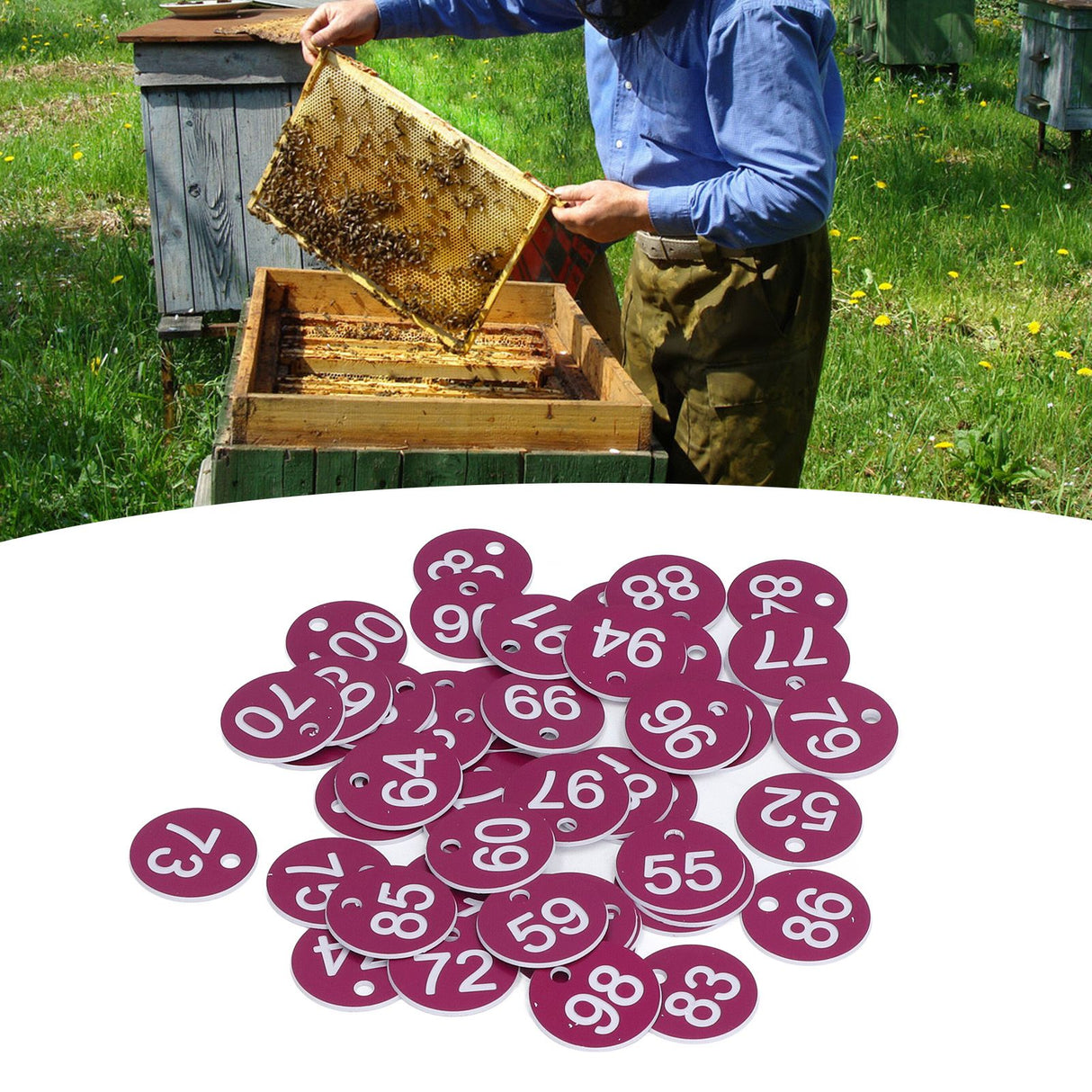 50Pcs Numbered Label Round Simple Beautiful Beehive Tag Breeding Supplies for Beekeeping Animal HusbandryNumbers 51 to 100 Purple
