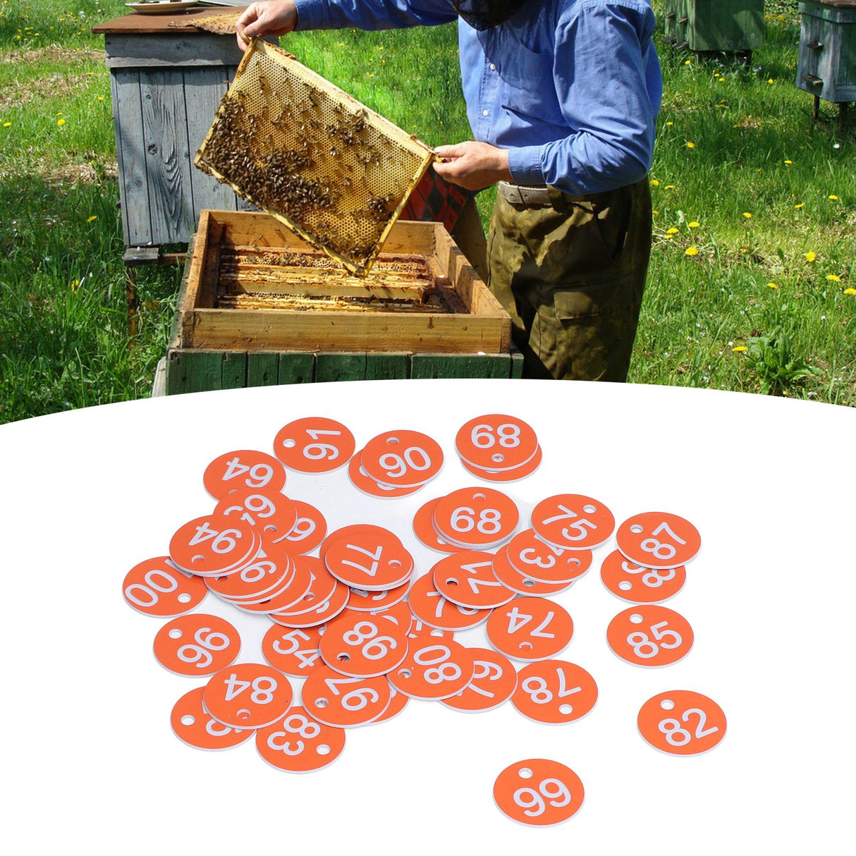 50Pcs Numbered Label Round Simple Beautiful Beehive Tag Breeding Supplies for Beekeeping Animal HusbandryNumbers 51 to 100 Orange