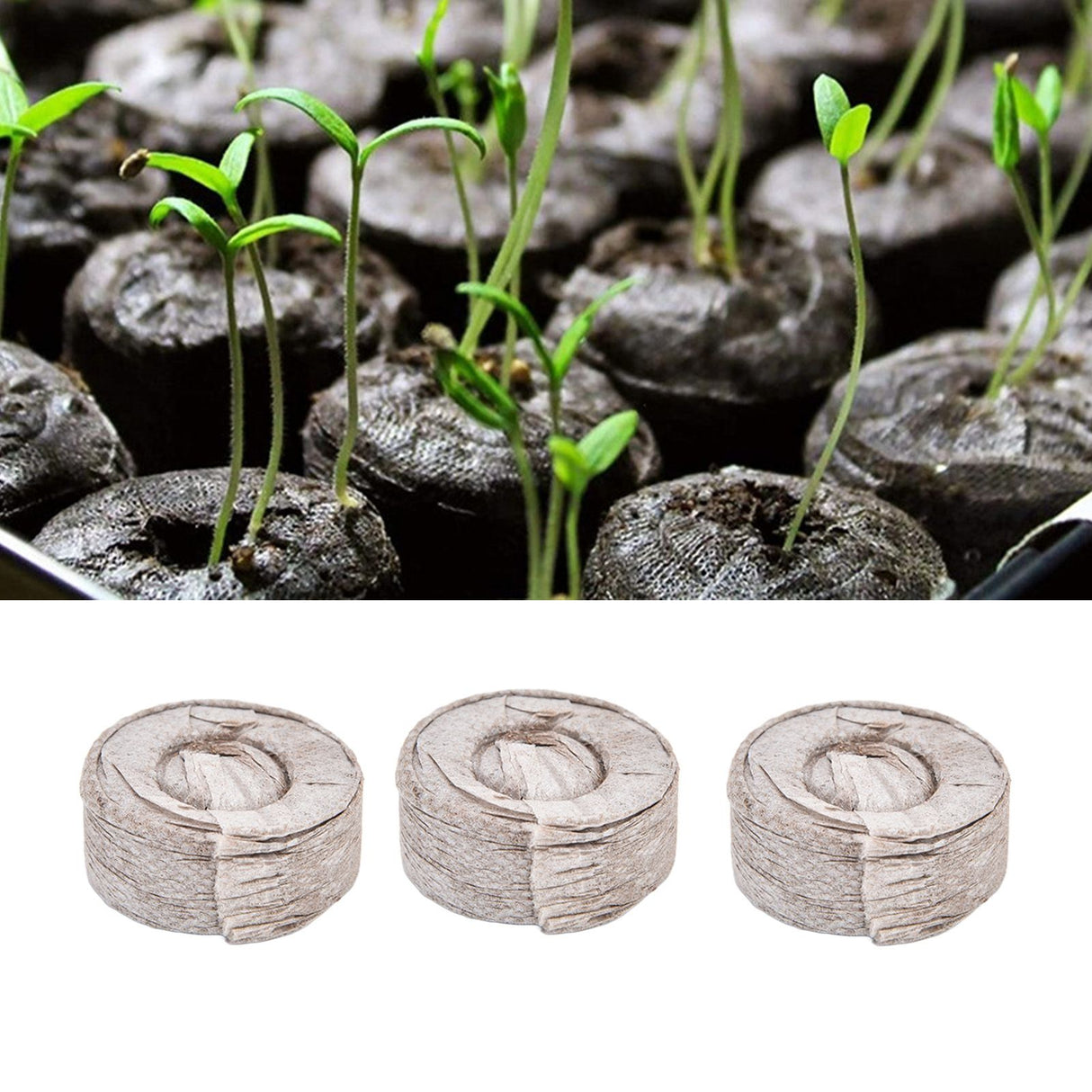 50Pcs Compressed Peat Block Cultivation and Nursery Nutrient Block Soil for Plant Flower VegetablesΦ40 X 10 mm