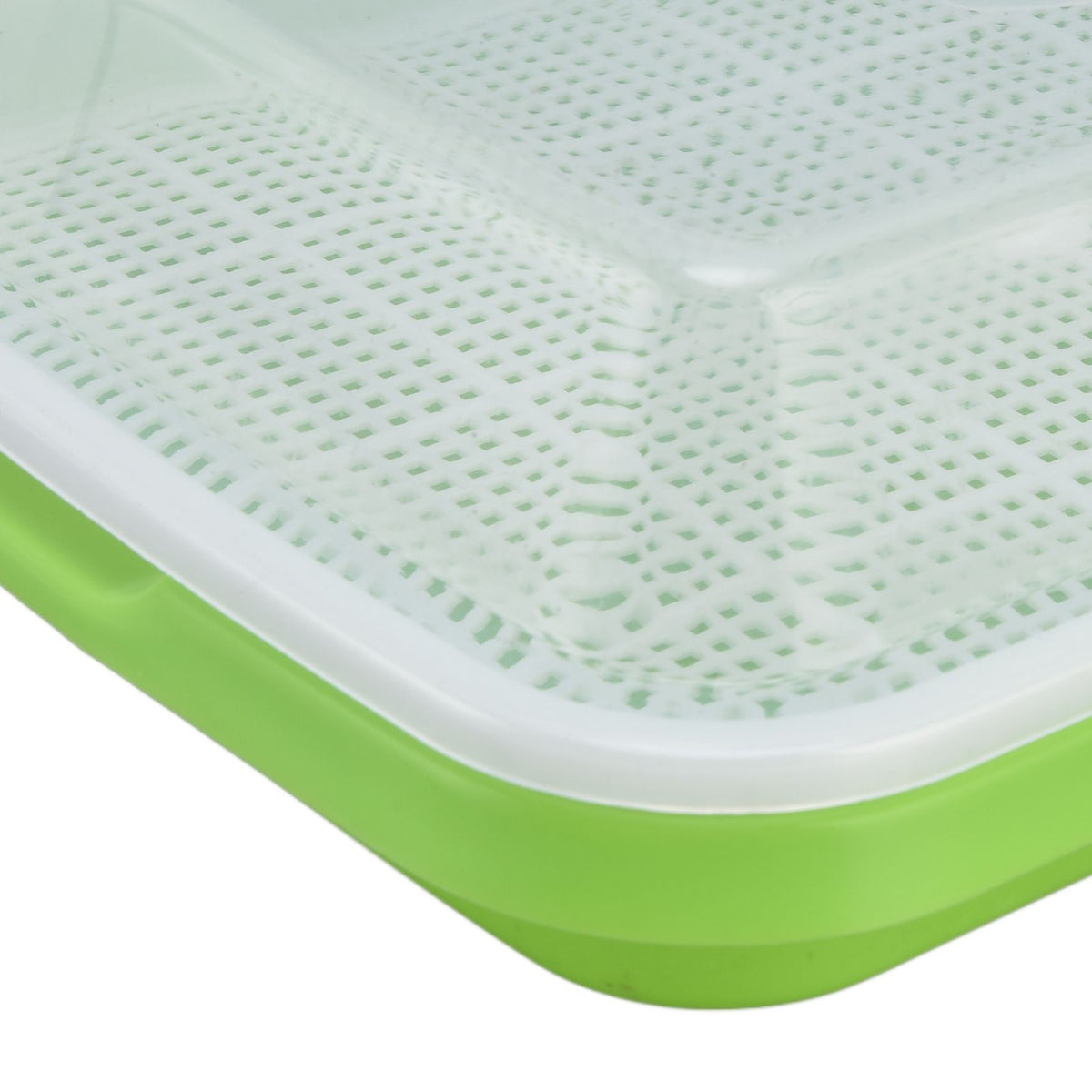Sprouting Tray Transparent Lid Dense Small Holes Fine Workmanship Plastic Material Seed Sprouter