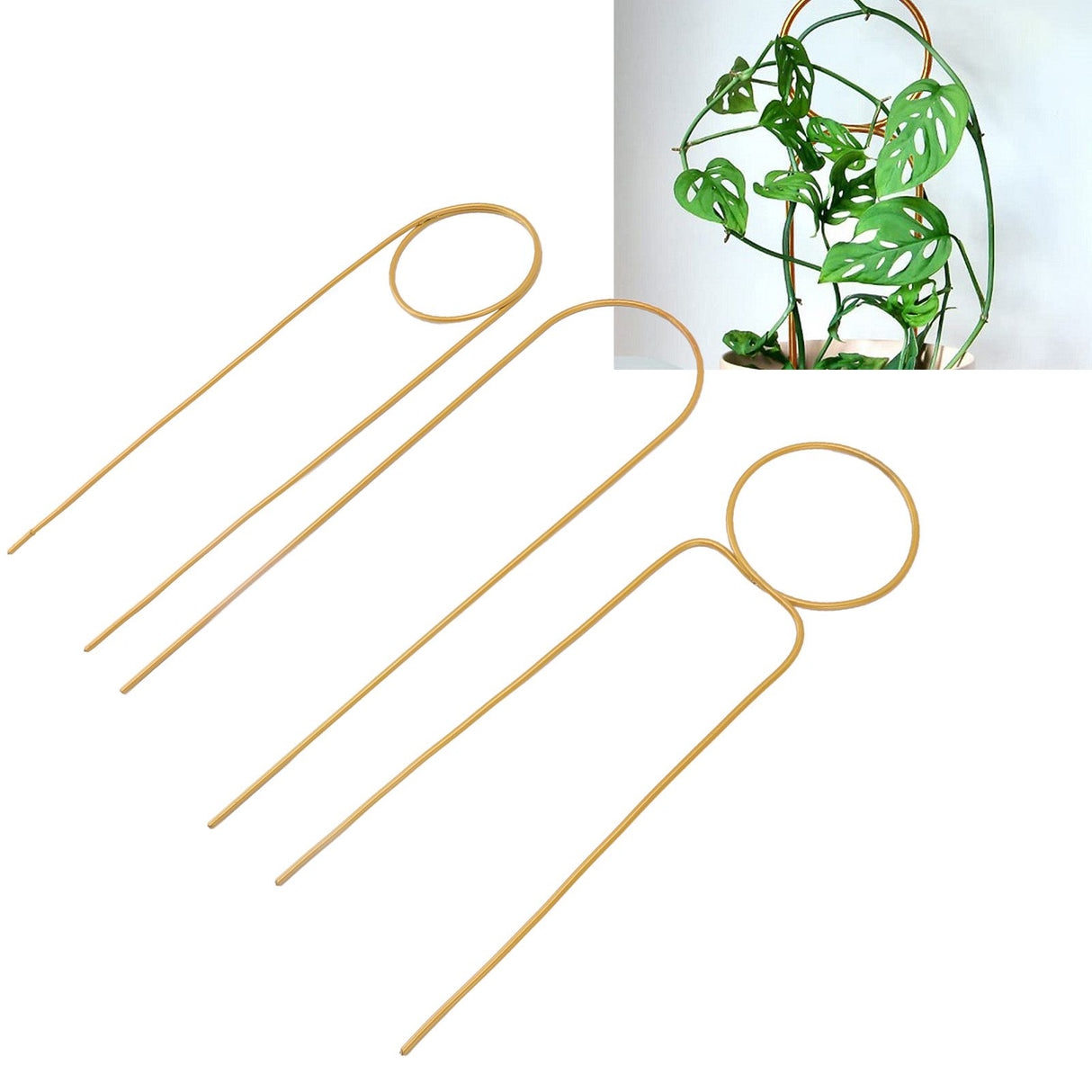 3 Pcs Plant Trellis 40cm Wrought Iron Metal Plant Climbing Trellis Indoor Green Plant Potted Flower Arrangement Bracket Gold