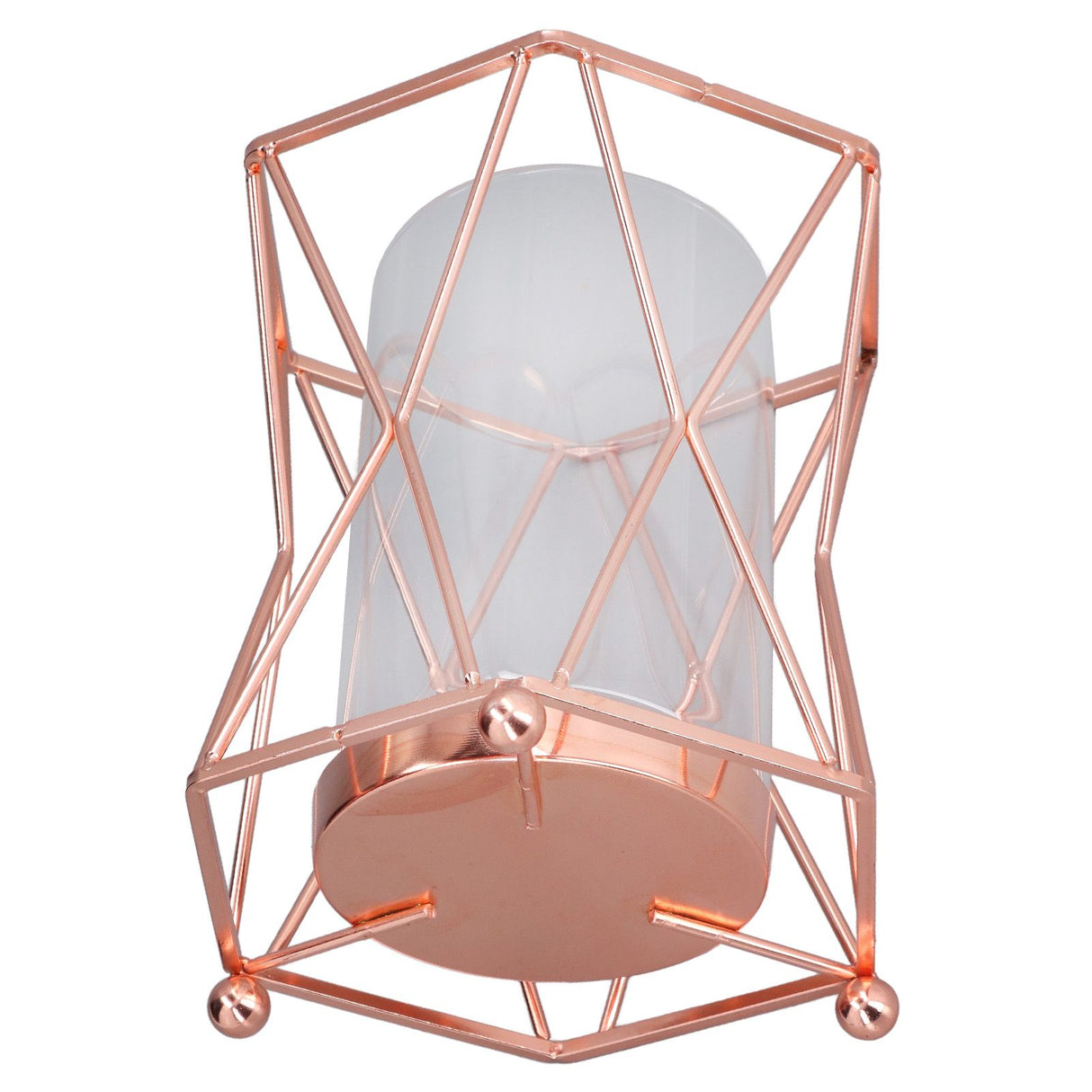 Plant Vase with Wrought Iron Flower Stand Transparent Glass Flower Pot Hydroponic Vase for Living Room