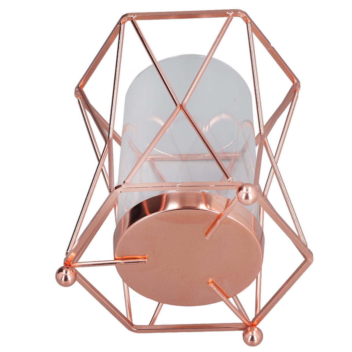 Plant Vase with Wrought Iron Flower Stand Transparent Glass Flower Pot Hydroponic Vase for Living Room