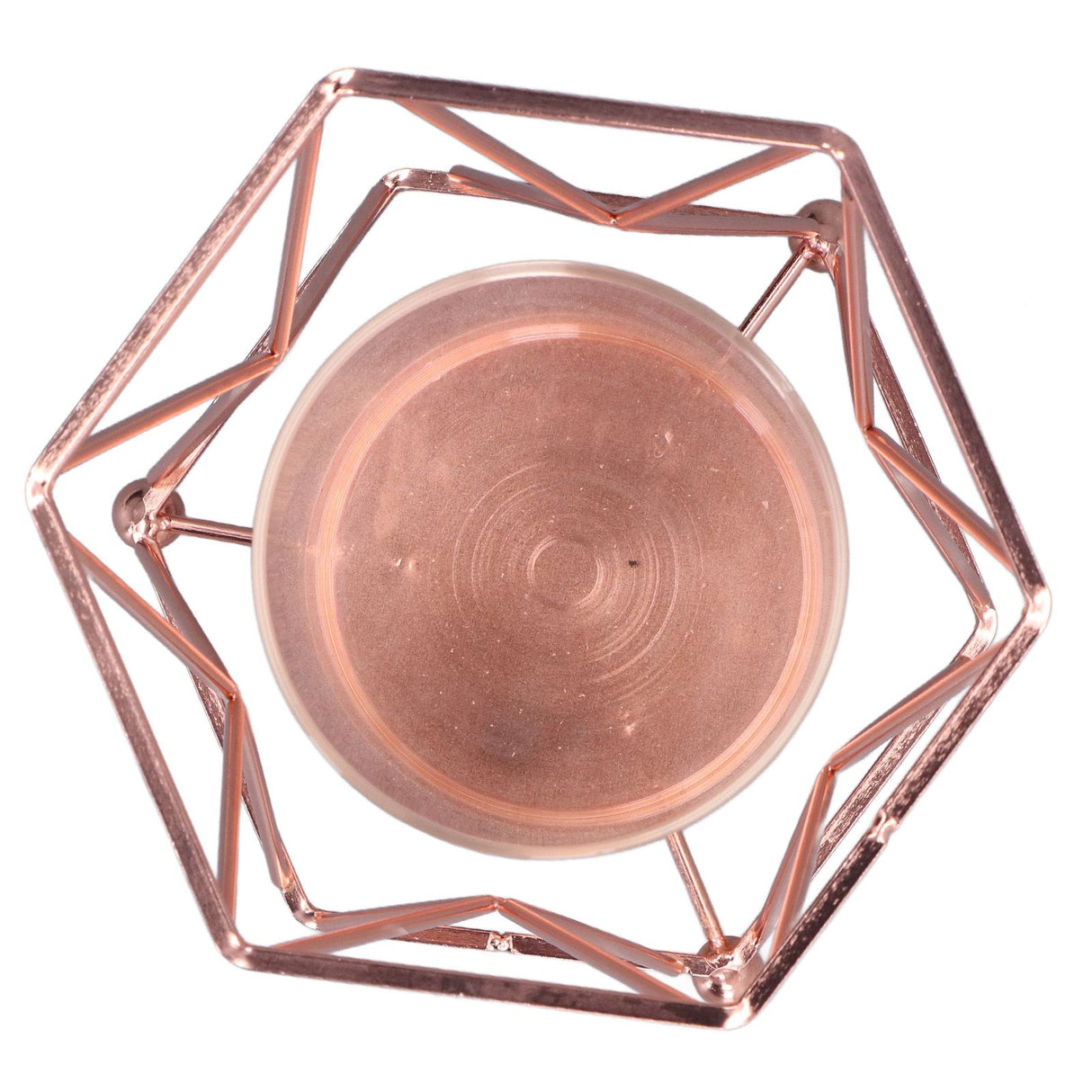 Plant Vase with Wrought Iron Flower Stand Transparent Glass Flower Pot Hydroponic Vase for Living Room