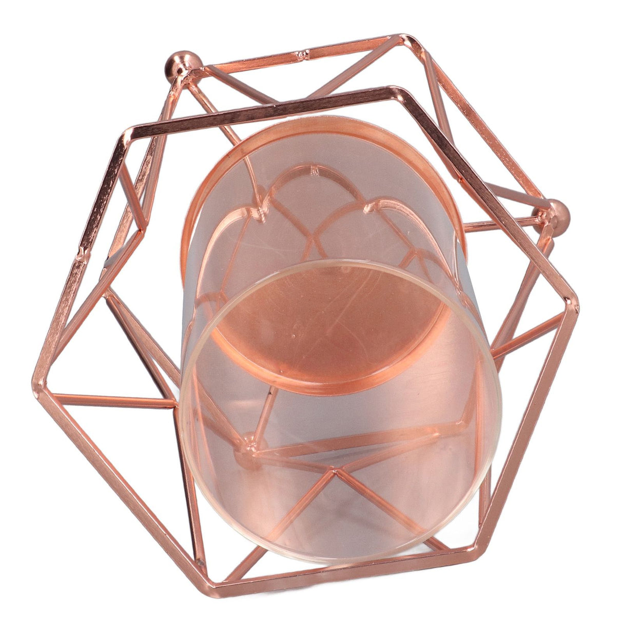 Plant Vase with Wrought Iron Flower Stand Transparent Glass Flower Pot Hydroponic Vase for Living Room