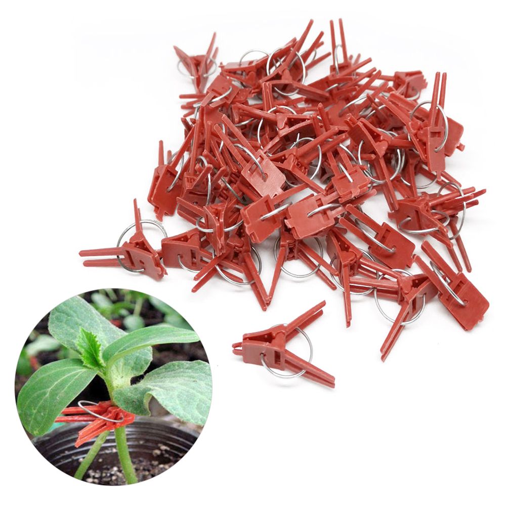 100PCS Plants Graft Clips Plastic Grafting Clips Practical Garden Plant Clips