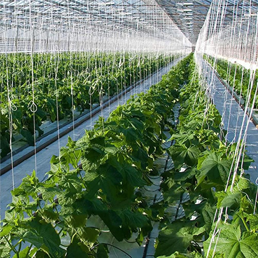 10Pcs Tomato Trellis Roller Hooks Tomato Support Hooks Plant Roller Hook with 15M String Plant Cages Supports Roller Hook for Plant Fruit