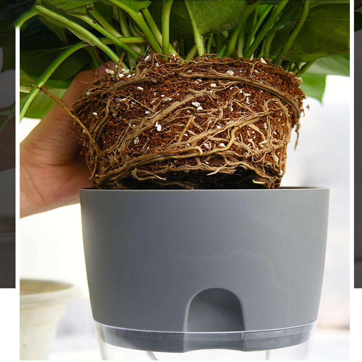 Self Watering Planter Cotton Rope Plastic Decorative Planting Pot for Indoor Outdoor Plants Flowers Herbs Grey 15.3cm/6in Diameter