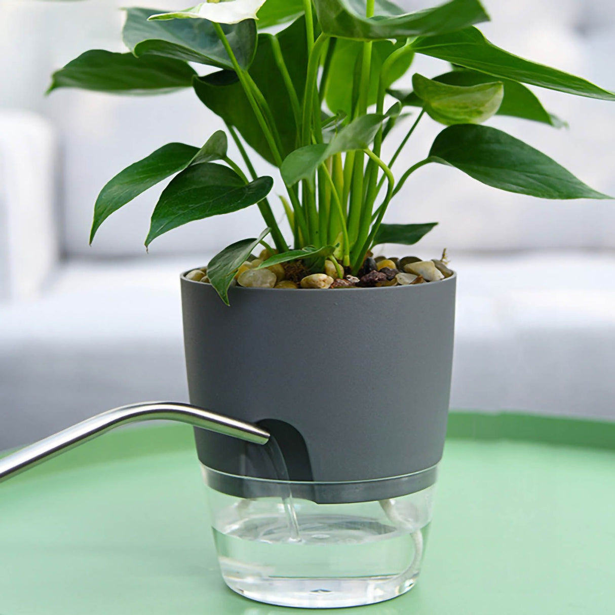 Self Watering Planter Cotton Rope Plastic Decorative Planting Pot for Indoor Outdoor Plants Flowers Herbs Grey 15.3cm/6in Diameter