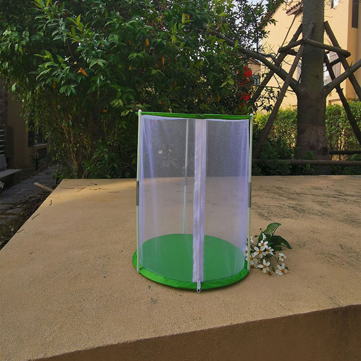 Cylindrical Butterfly and Insect Observation Cage Transparent Mesh Habitat Cage for Ornamental Plants