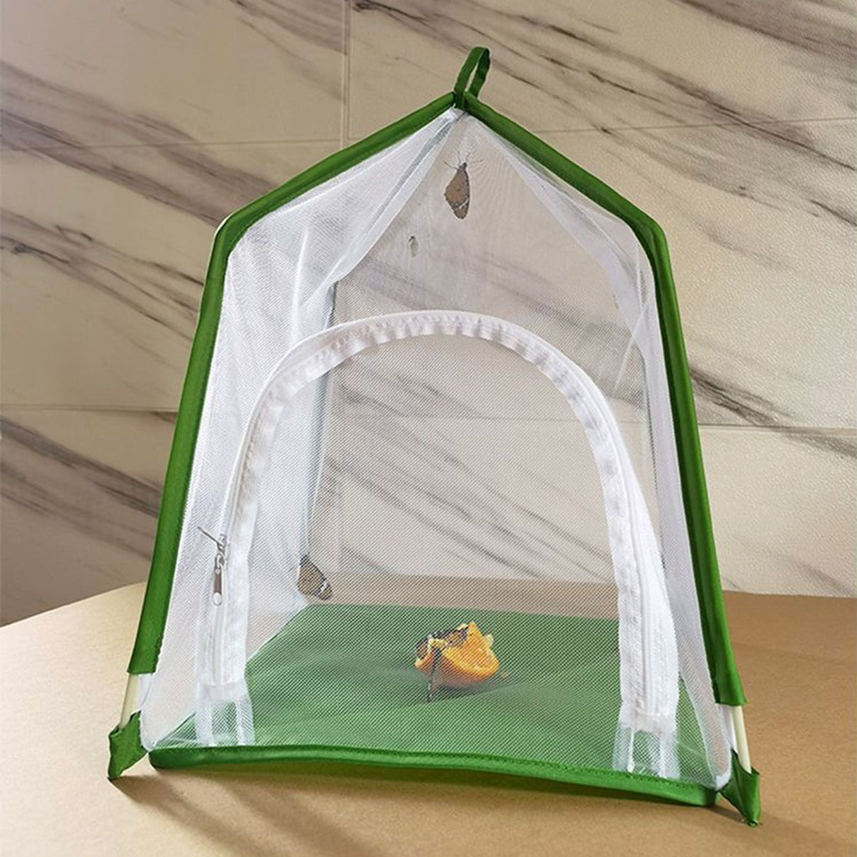 House Shaped Insect Cage Exquisite Ornamental Gardening Cage for Science Education Experiment