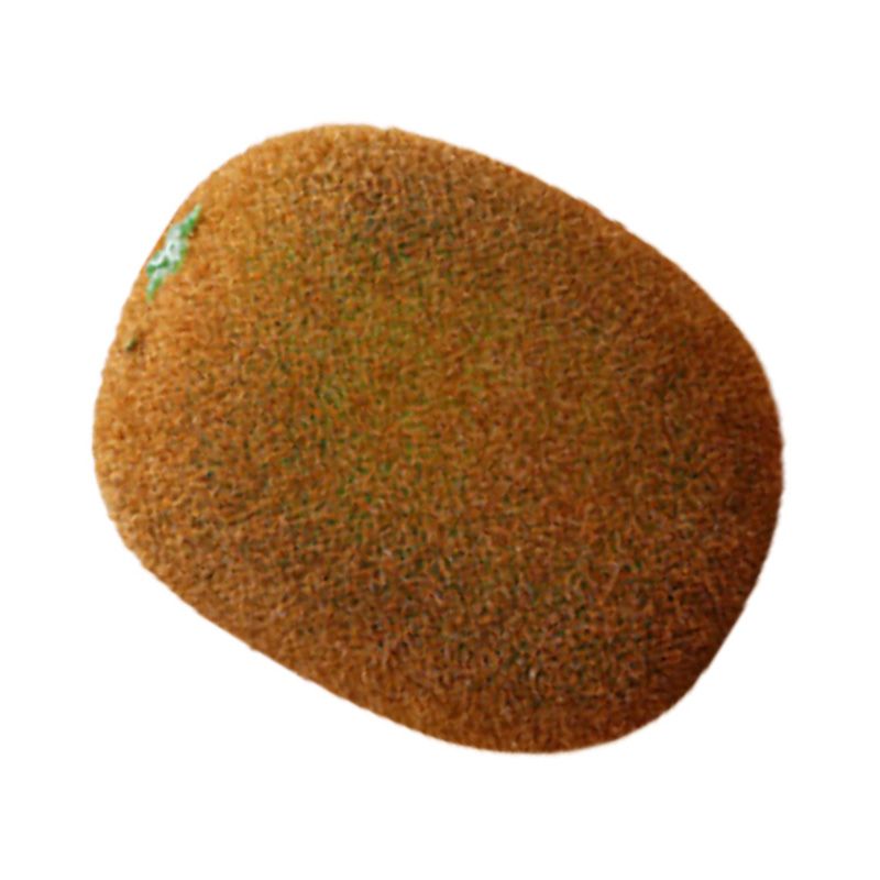 Artificial Fruit Simulation Model Foam Fake Fruit Kindergarten Teaching Aids Decorative Props Kiwi Fruit