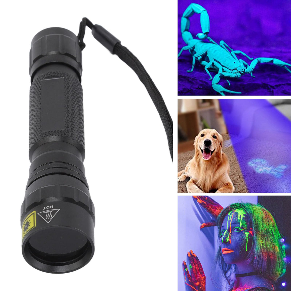 UV Flashlight Professional High Brightness 365nm UV LED Mini Flashlight for Pet Urine Detector Resin Curing