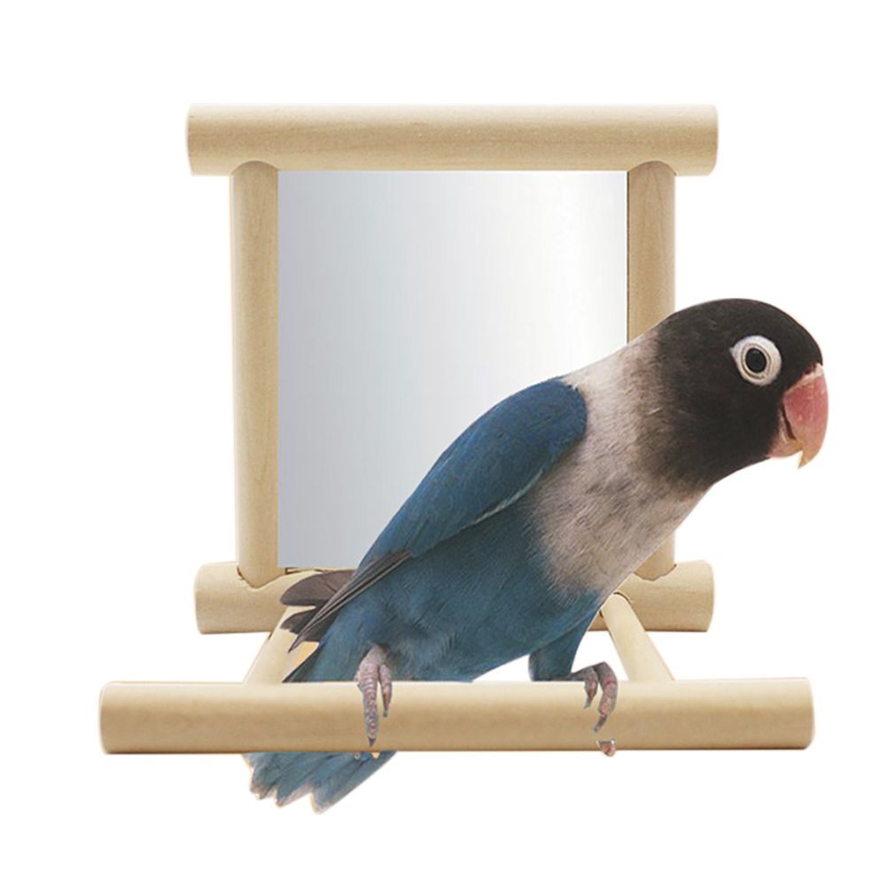 Stand Perch with Mirror for Parrot Pet Accessories Wooden Decorations