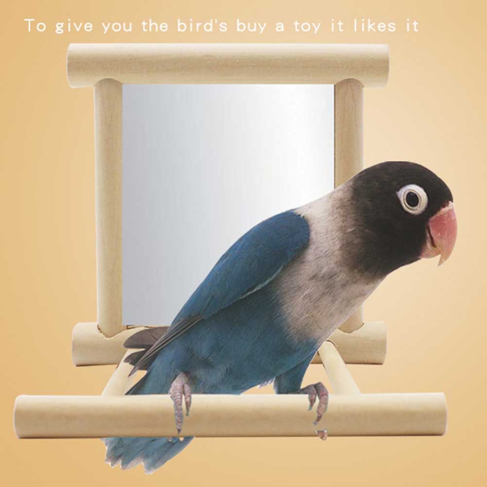Stand Perch with Mirror for Parrot Pet Accessories Wooden Decorations