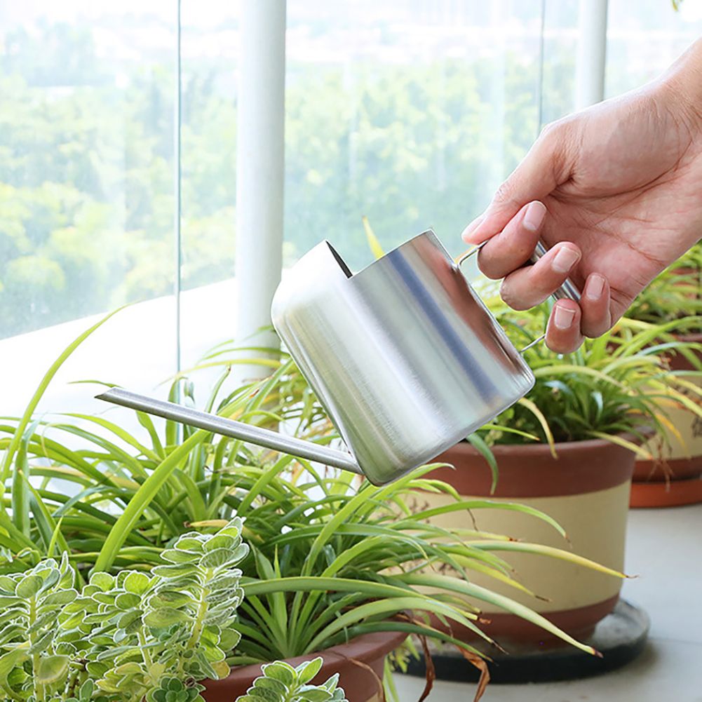 300ml Stainless Steel Watering Kettle with Semi Open Top Indoor Watering Pot